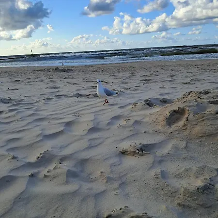 Emerald Sea 250 M Do Morza Apartament *