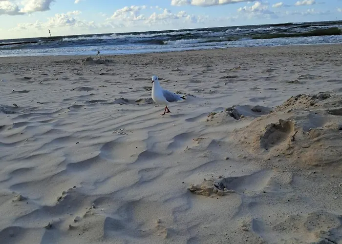 Emerald Sea 250 M Do Morza Appartamento *